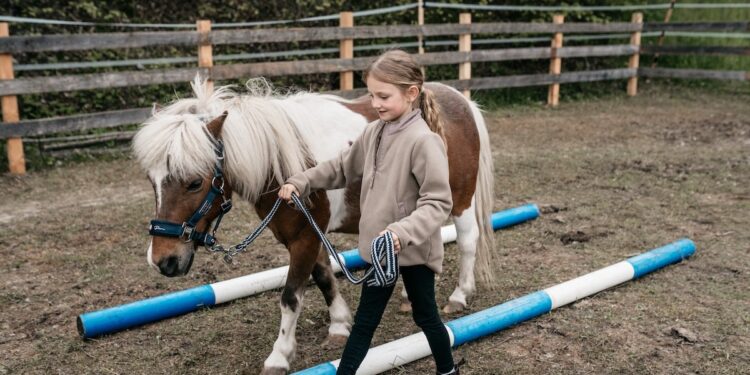 Estate a cavallo