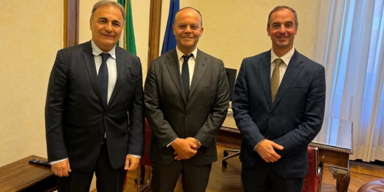 SENATO | Incontro MAIE - Noi Moderati