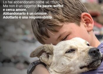 “Non buttarlo via. Non è un rifiuto”: contro l’abbandono degli animali