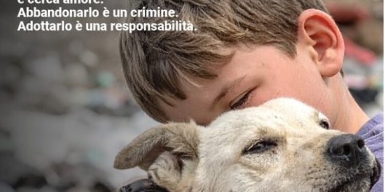 “Non buttarlo via. Non è un rifiuto”: contro l’abbandono degli animali