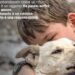 “Non buttarlo via. Non è un rifiuto”: contro l’abbandono degli animali