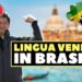 Lingua veneta in Brasile
