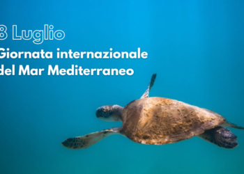 Arriva a Roma la Giornata Internazionale del Mar Mediterraneo