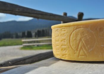 L’Asiago DOP Prodotto della Montagna conquista i Millennials