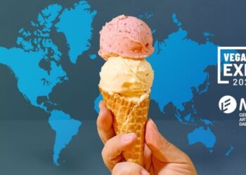 Gelato vegano