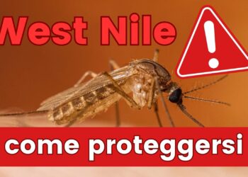 West Nile