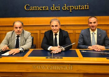 Da sinistra, nella foto: l'On. Franco Tirelli, il presidente MAIE Ricardo Merlo, il Sen. Mario Borghese