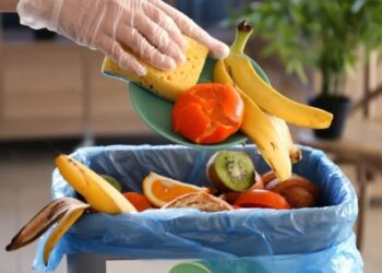 Spreco alimentare