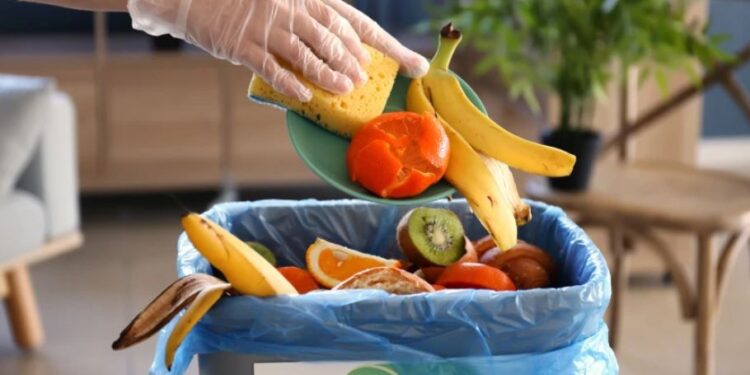 Spreco alimentare