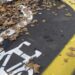 Roma, Santori (Lega) contro le ciclabili: “Costose, mal progettate e imposte ai cittadini”