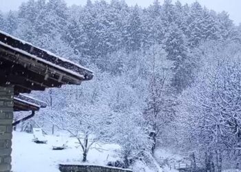 Meteo, neve e gelo