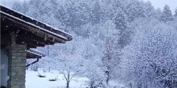 Meteo, neve e gelo