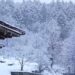 Meteo, neve e gelo