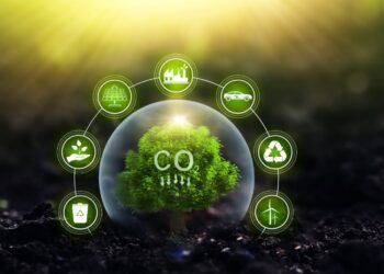 Transizione energetica e carbon credit, webinar internazionale del CGIE sulle opportunità per le imprese italiane nel mondo