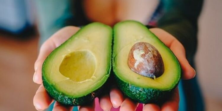 Mango e avocado, in 15 anni in Italia import +420% e +363%