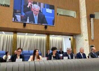 CGIE, Consiglio Generale degli italiani all'estero