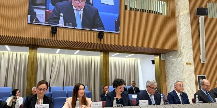CGIE, Consiglio Generale degli italiani all'estero