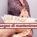 Assegno di mantenimento
