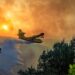 Incendi in Italia