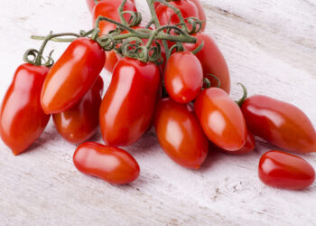 Pomodoro San Marzano