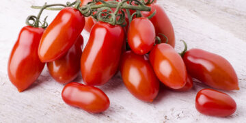 Pomodoro San Marzano