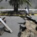 Devastante terremoto in Venezuela