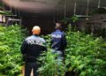 Maxi sequestro di marijuana a Palermo