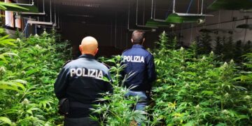 Maxi sequestro di marijuana a Palermo