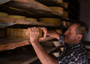 Malga Asiago DOP