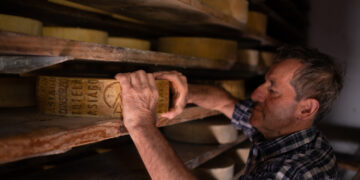 Malga Asiago DOP