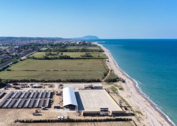 Fieracavalli Riding by the Sea