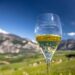 Trentodoc