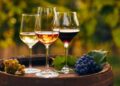 Vino italiano sempre più protagonista in Brasile