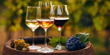 Vino italiano sempre più protagonista in Brasile