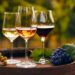 Vino italiano sempre più protagonista in Brasile