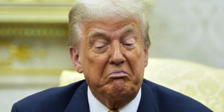 Il presidente statunitense Donald Trump (foto di repertorio LaPresse)